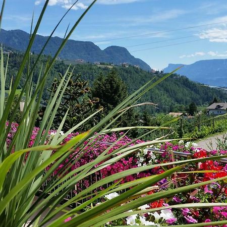 Pension Weinberg Riffian Exterior foto