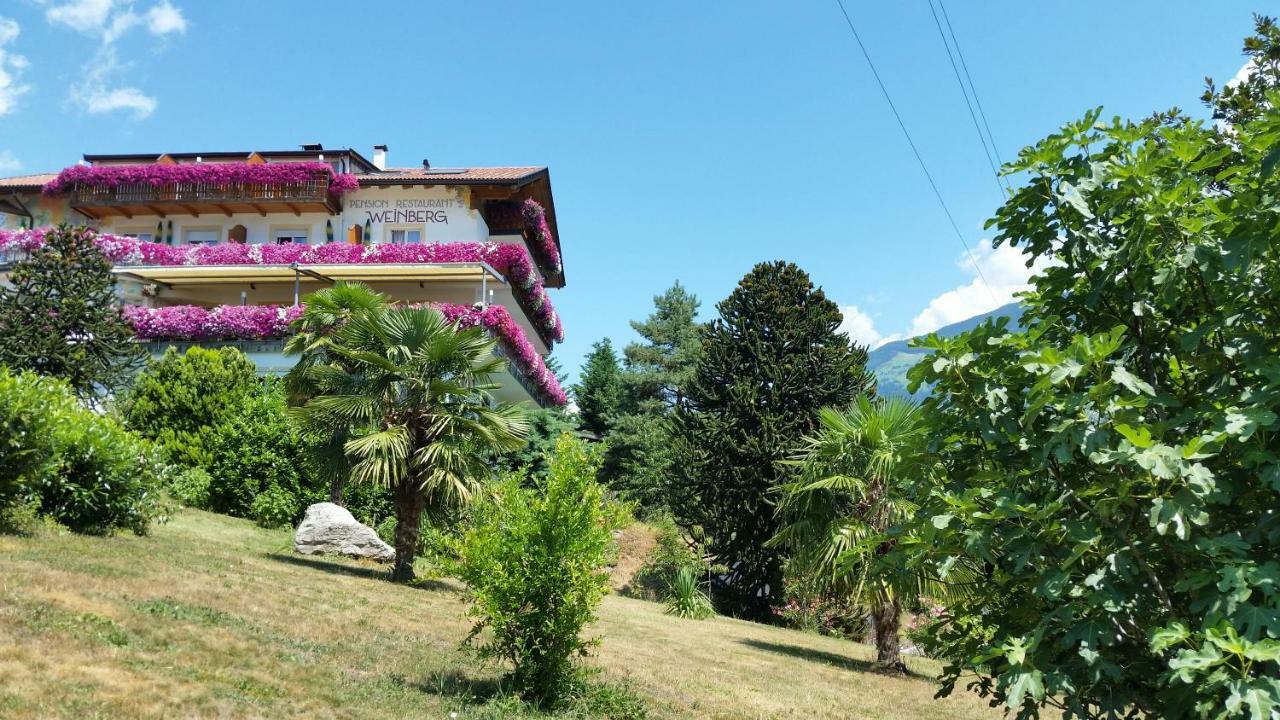 Pension Weinberg Riffian Exterior foto